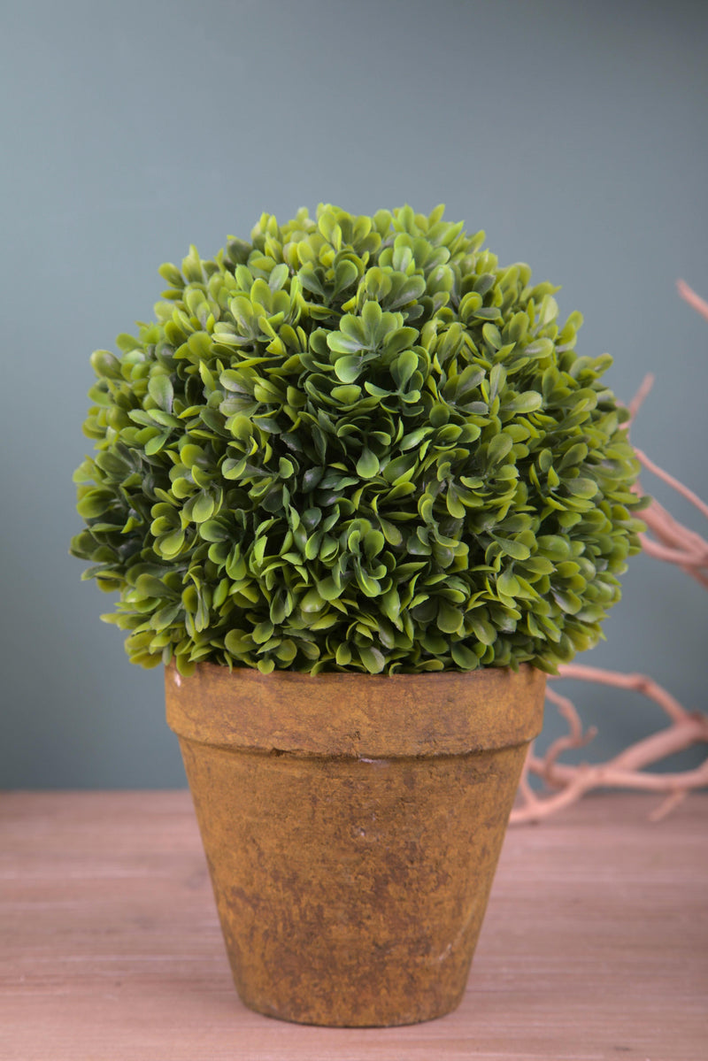 Sfera Bossolo/Buxus Artificiale con Vaso Altezza 23 cm Verde-3