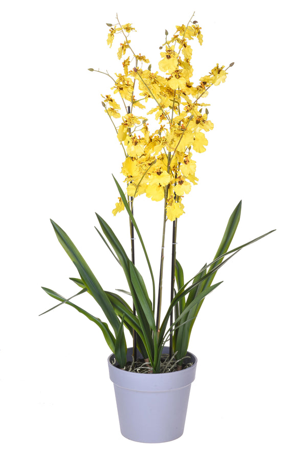 online Künstliche Orchidee Oncidium mit 3 Zweigen mit Topfhöhe 45 cm Gelb