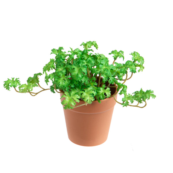 online Set 4 künstliche Pelargonienpflanzen im Topf, bestehend aus 3 Zweigen, Höhe 16 cm, grün