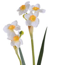 3 Giunchiglia con 2 Fiori Artificiali Altezza 55 cm Bianco-3