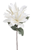 Fiori Artificiali Ginger Foam con Foglie Altezza 70 cm Bianco-1