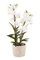 Orchidea Artificiali con Vaso Altezza 51 cm Bianco-1