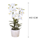 Orchidea Artificiali con Vaso Altezza 51 cm Bianco-2