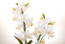 Orchidea Artificiali con Vaso Altezza 51 cm Bianco-3