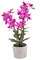 Künstliche Orchidee mit Vase Höhe 51 cm Rosa