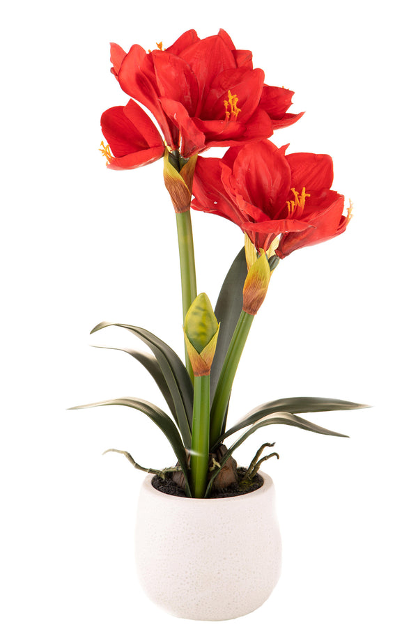 Künstliche Amaryllis mit Topfhöhe 64 cm rot acquista