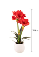 Amaryllis Artificiale con Vaso Altezza 64 cm Rosso-2