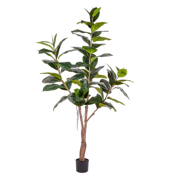 sconto Künstlicher Gummi-Ficus mit 65 Blättern Höhe 180 cm