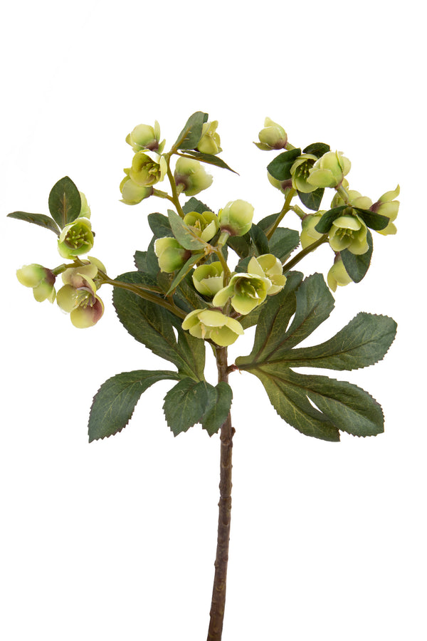 prezzo Set mit 12 künstlichen Helleborus-Zweigen, Höhe 42 cm, grün