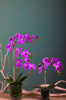 Pianta Artificiale di Phalaenopsis Artificiali con Vaso Altezza 48 cm Rosa-2