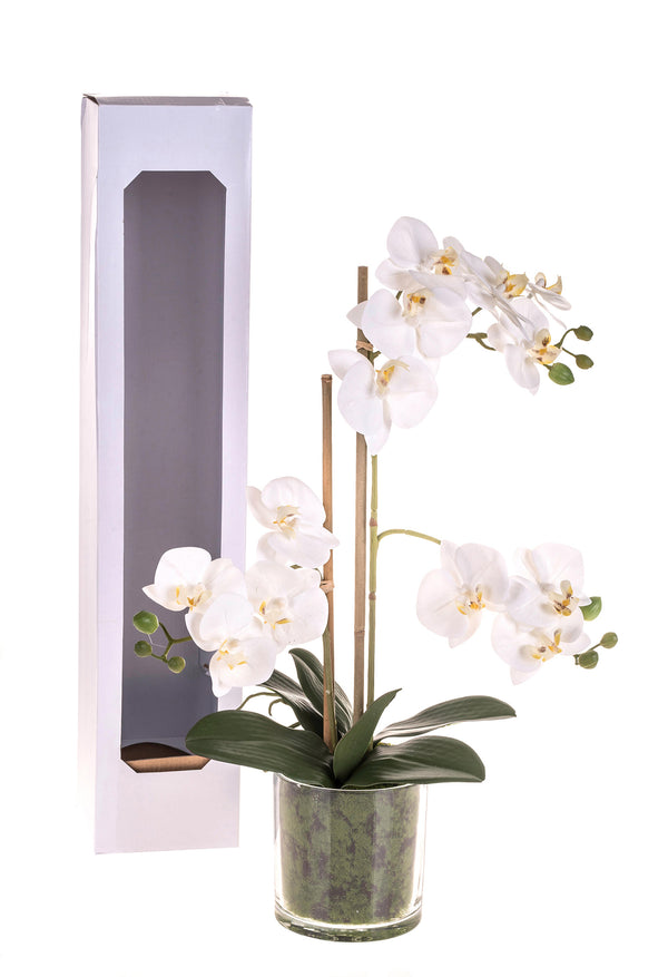 Kunstpflanze Künstliche Phalaenopsis mit Topfhöhe 56 cm weiß sconto