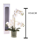 Pianta Artificiale di Phalaenopsis Artificiali con Vaso Altezza 56 cm Bianco-2