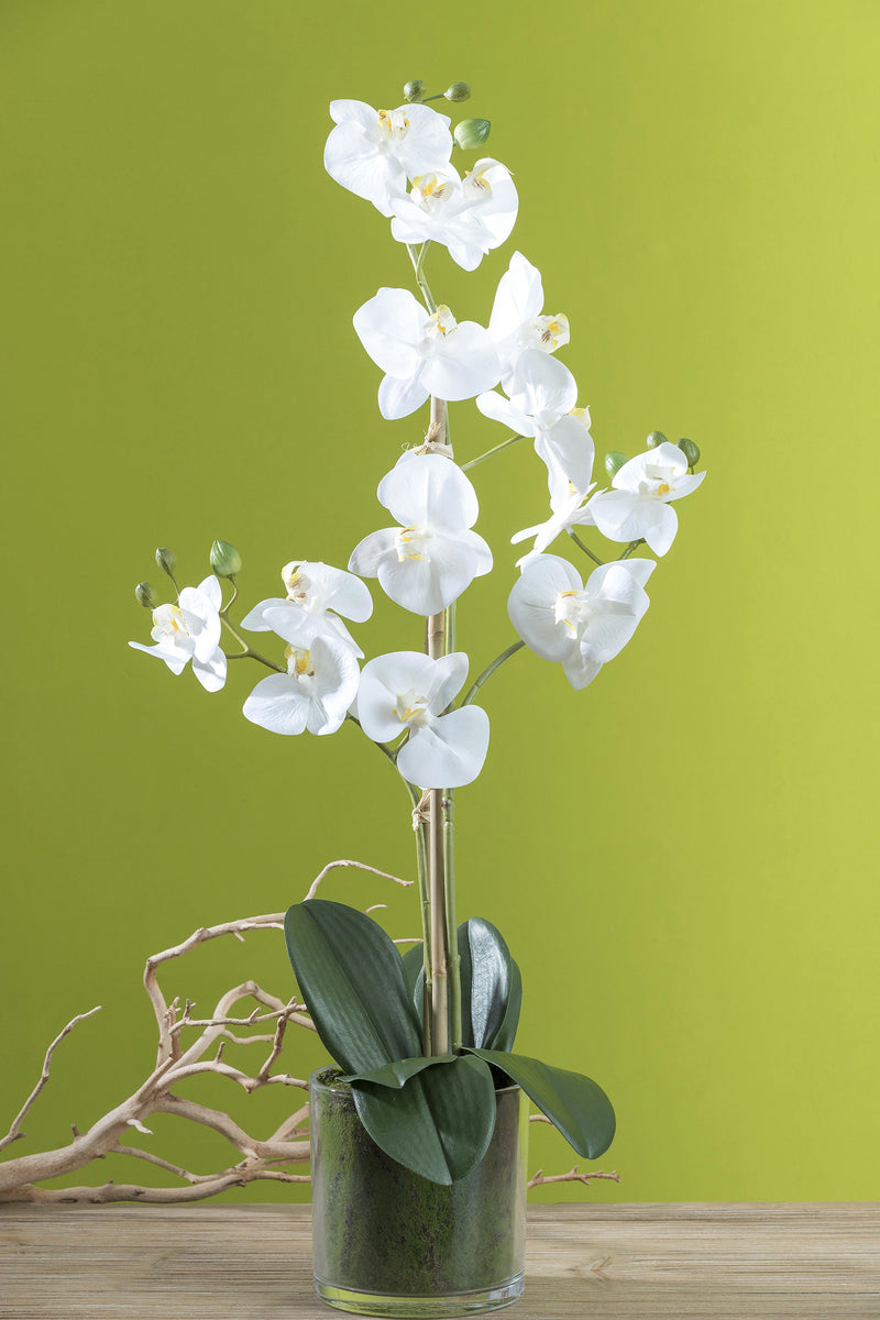 Pianta Artificiale di Phalaenopsis Artificiali con Vaso Altezza 56 cm Bianco-3