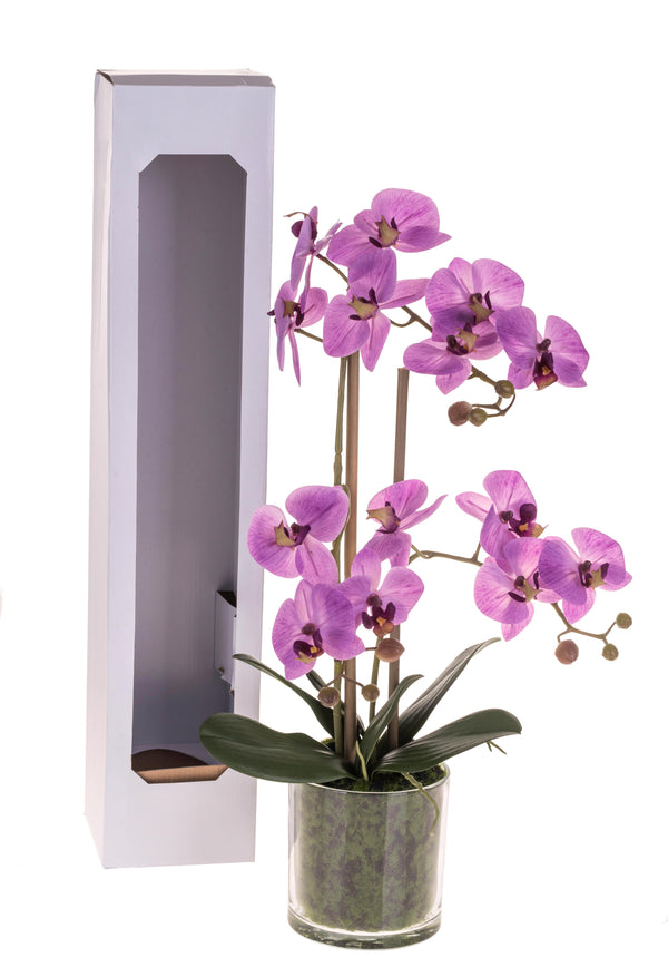 online Kunstpflanze Künstliche Phalaenopsis mit Topfhöhe 56 cm Rosa