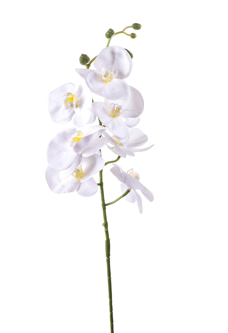 3 Phalaenopsis Artificiali con 7 Fiori Altezza 96 cm Bianco-1