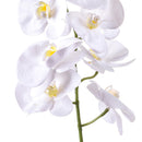 3 Phalaenopsis Artificiali con 7 Fiori Altezza 96 cm Bianco-3