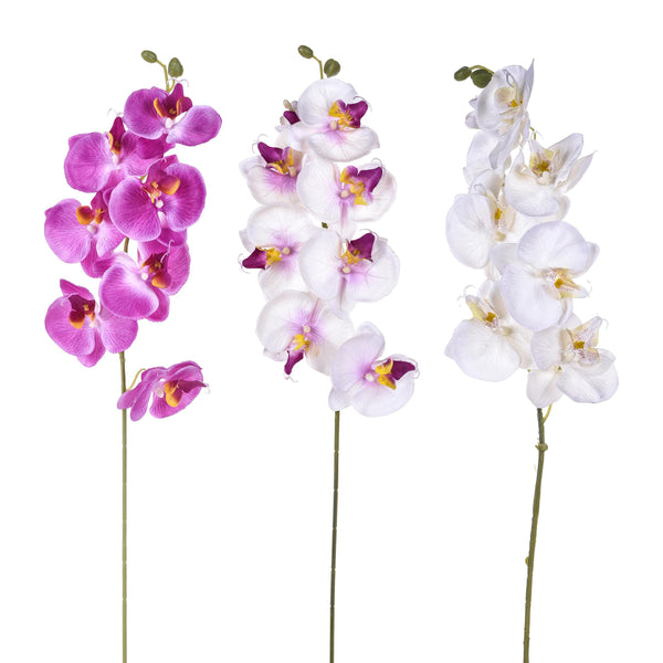 Set mit 12 künstlichen Phalaenopsis mit 8 Blüten, Höhe 65 cm, mehrfarbig prezzo