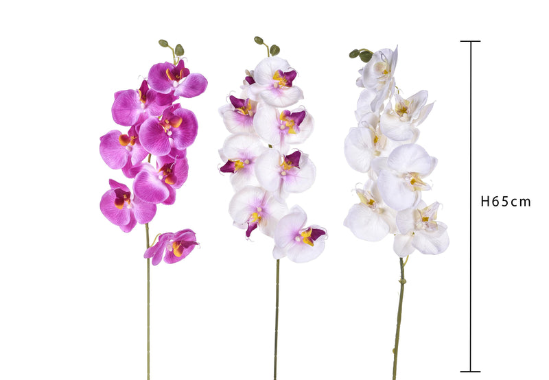 6 Phalaenopsis Artificiali con 8 Fiori Altezza 65 cm Multicolore-2