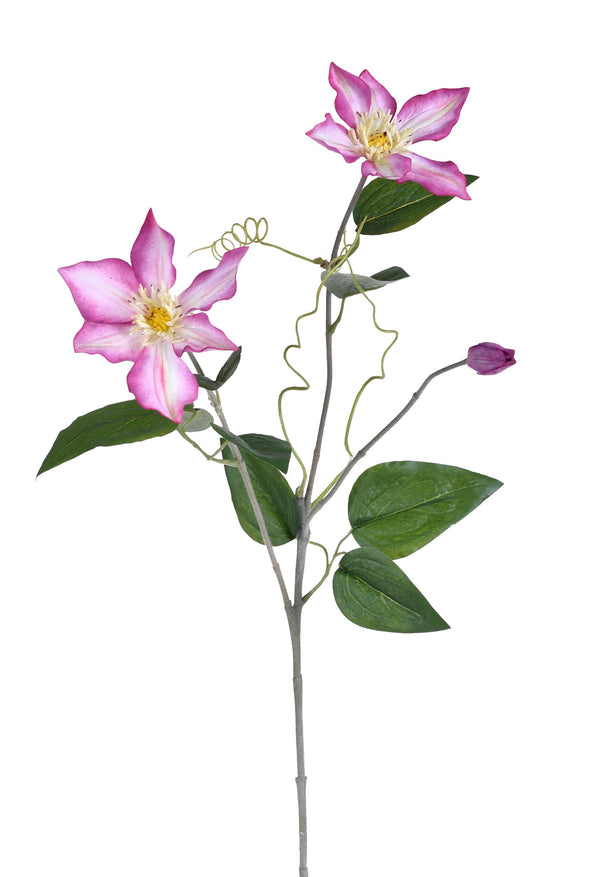 Set mit 4 künstlichen Clematis-Zweigen, bestehend aus 2 Blüten, Höhe 76 cm, Rosa online