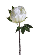 4 Peonia Artificiale Altezza 48 cm Bianco-1