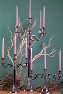 Candelabro in Metallo Composto da 5 Bracci Altezza 60 cm-4