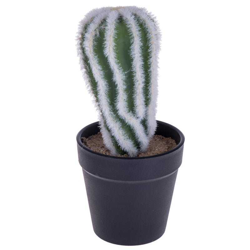 2 Cactus Artificiale con Vaso Altezza 20 cm -1