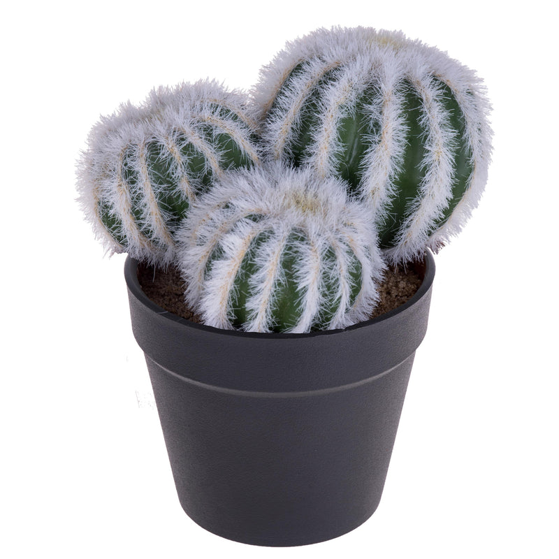 2 Cactus Artificiale X 3 con Vaso Altezza 12 cm -1