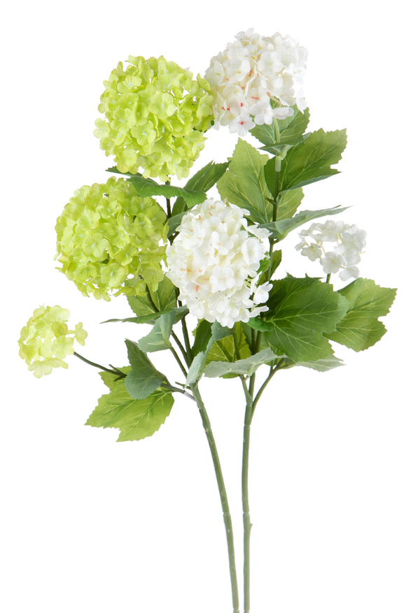 Set 6 Künstlicher Viburnum Bestehend aus 3 Zweigen Höhe 61 cm sconto