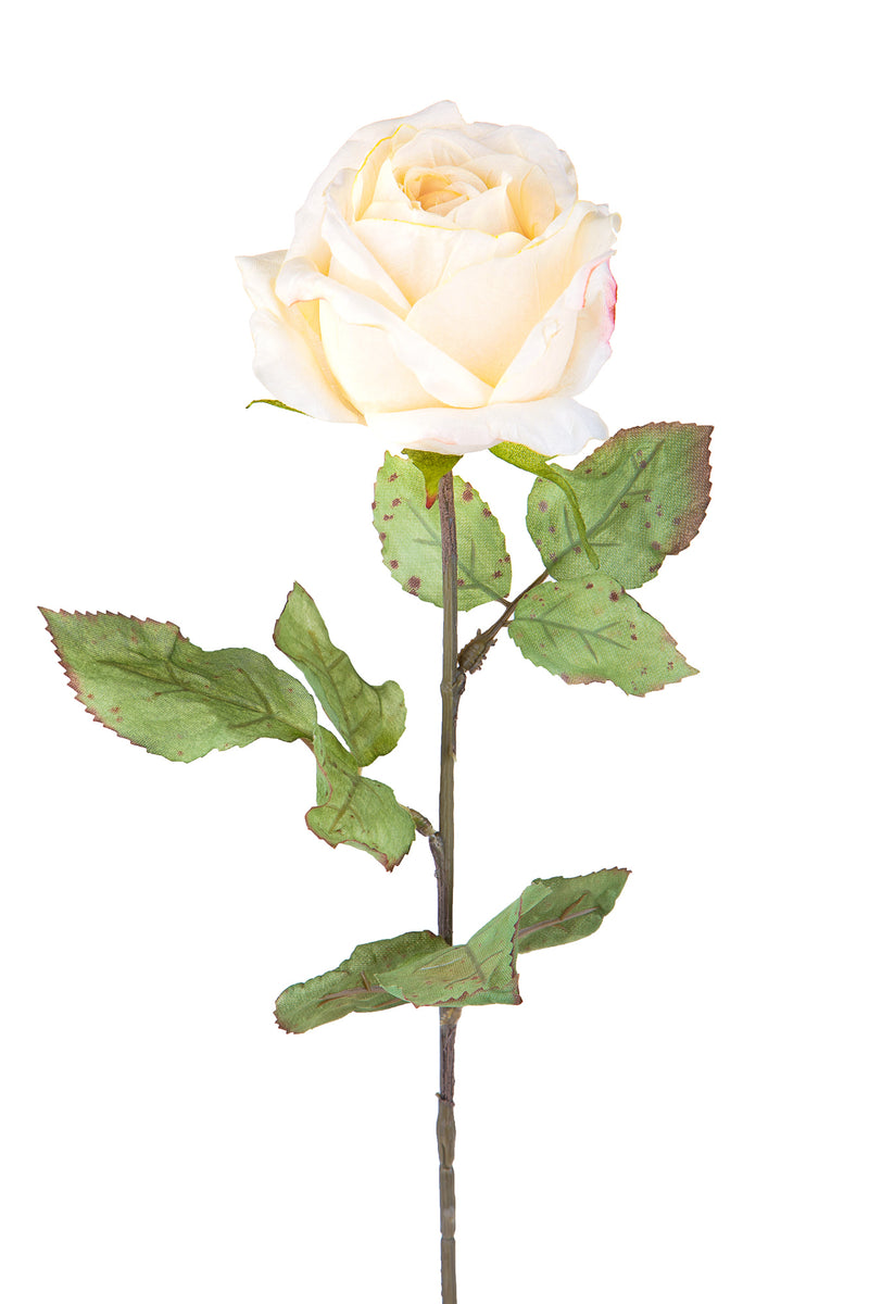 2 Rose Artificiali con Dry Altezza 62 cm -1