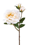 2 Rose Artificiali Inglese Altezza 48 cm -1