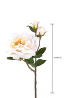 2 Rose Artificiali Inglese Altezza 48 cm -2