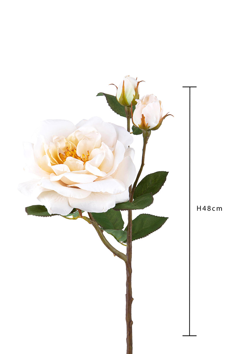 2 Rose Artificiali Inglese Altezza 48 cm -2