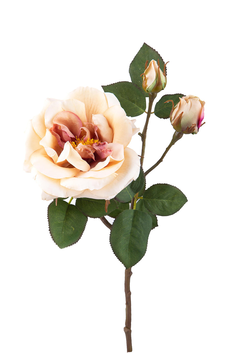 2 Rose Artificiali Inglese Altezza 48 cm Beige-1