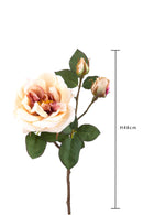 2 Rose Artificiali Inglese Altezza 48 cm Beige-2