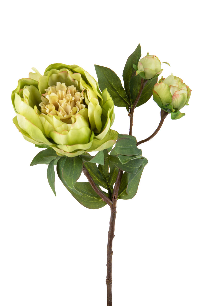 2 Peonia Artificiale Romance con 3 Fiori Altezza 49 cm Verde-1