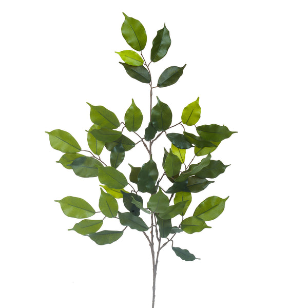 sconto Set 16 künstliche Ficus-Zweige mit 42 Blättern, Höhe 60 cm, grün