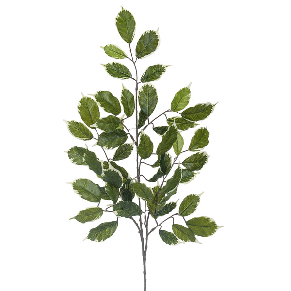 prezzo Set 16 künstliche Ficus-Zweige mit 42 Blättern, Höhe 60 cm, grün