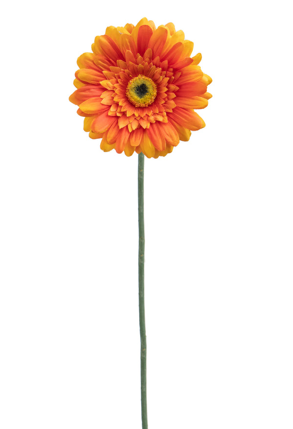 Set mit 12 künstlichen Gerbera-Blumen, Höhe 63 cm, Orange sconto