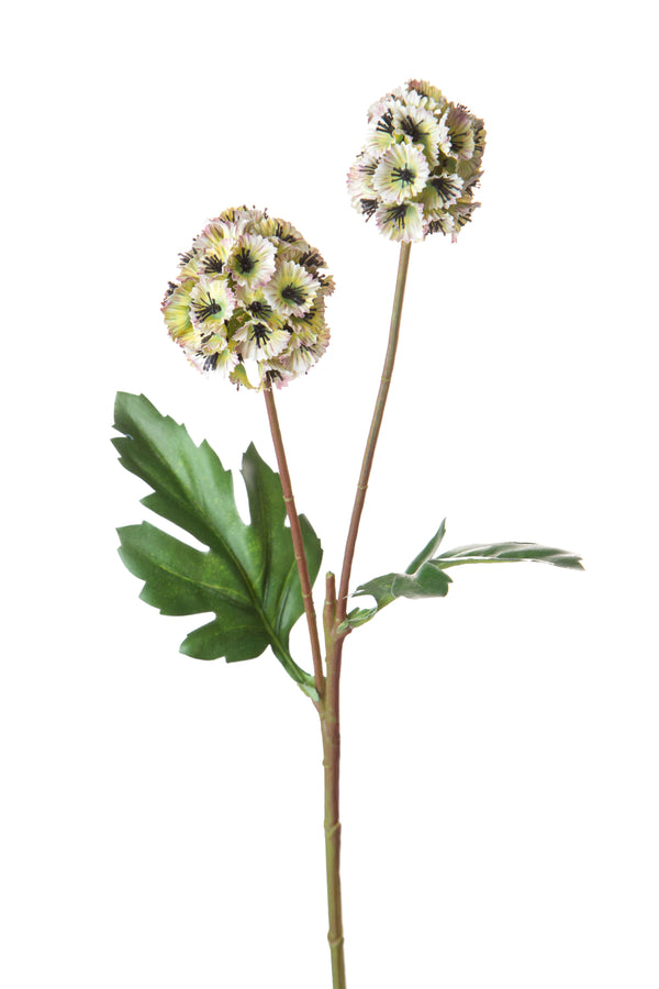 Set mit 24 künstlichen Blumen von Scabiosa Stellata, bestehend aus 2 künstlichen Blumen, Höhe 58 cm, grün online