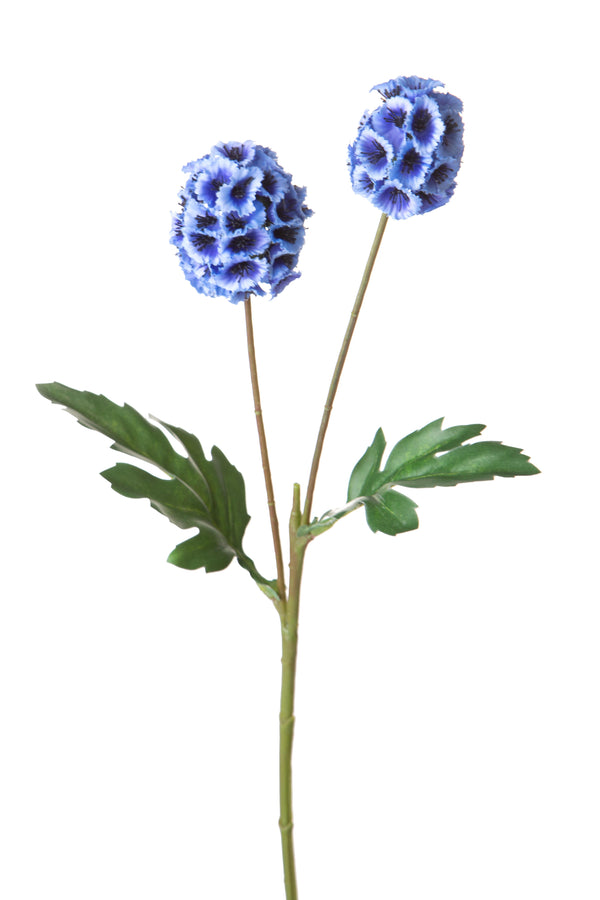 sconto Set mit 24 künstlichen Blumen von Scabiosa Stellata, bestehend aus 2 künstlichen Blumen, Höhe 58 cm, blau