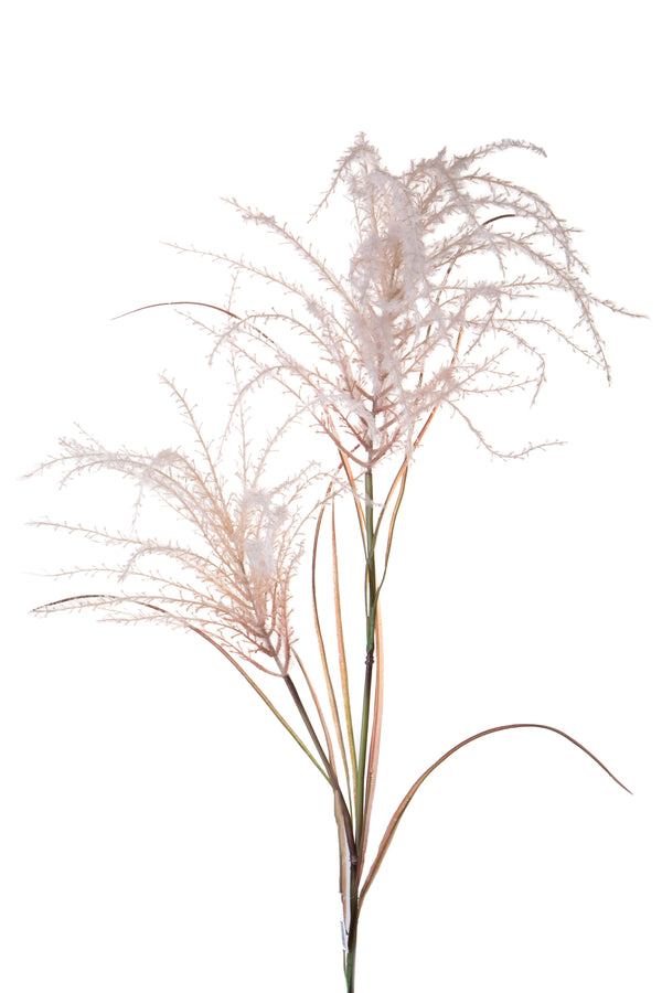 Set 2 künstliche Pampas mit zwei Zweigen, Höhe 142 cm, Rosa sconto