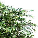 Ficus Weeping Artificiale con 2821 Foglie Altezza 152 cm Verde-4