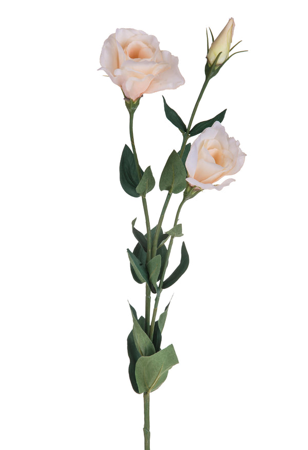 acquista Set 8 Künstliche Lisianthus Bestehend aus 3 Blumen Höhe 75 cm