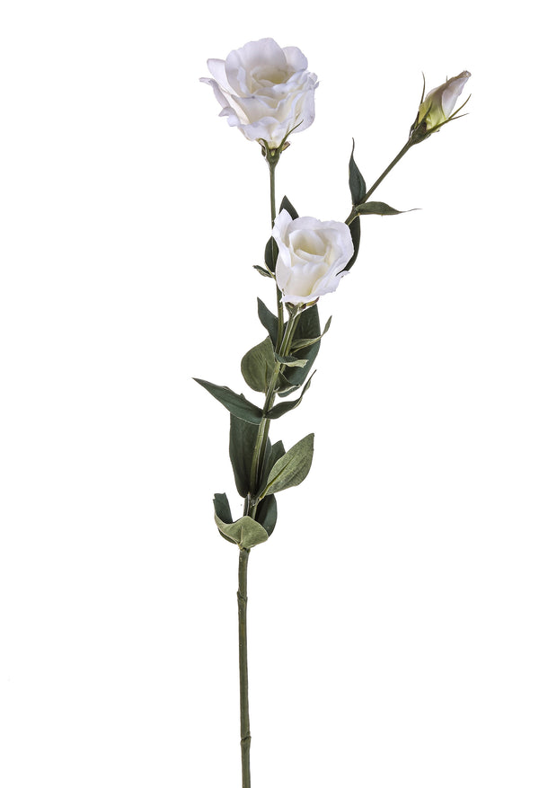 Set 8 künstliche Lisianthus, bestehend aus 3 Blumen, Höhe 75 cm, weiß prezzo