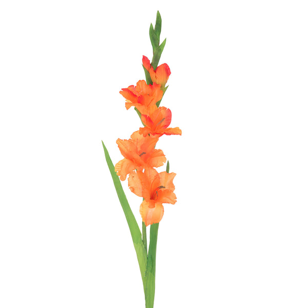 acquista Set 8 Kunstblumen Gladiolus Mini Höhe 74 cm Orange