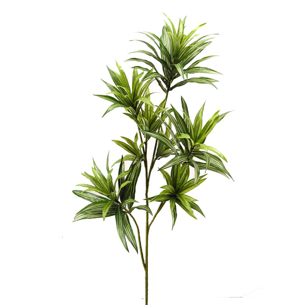 sconto Set 2 künstliche Dracaena mit 141 Blättern, Höhe 83 cm, grün