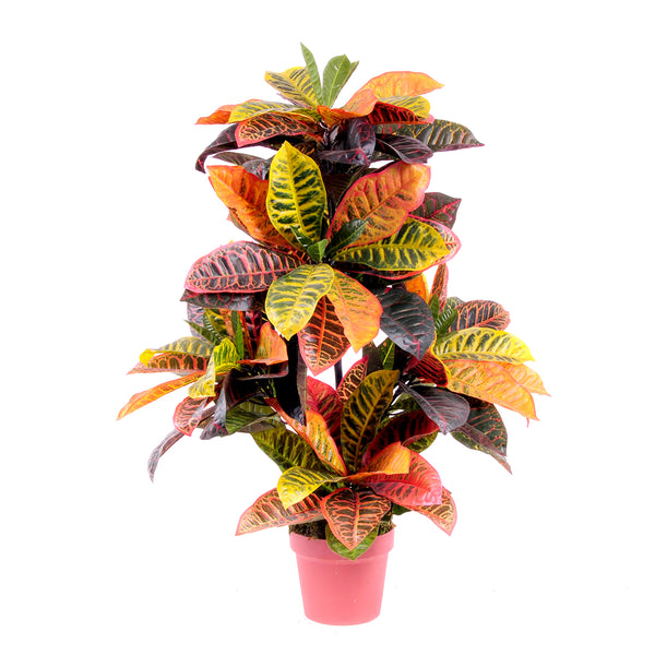 Künstlicher Croton mit Topf, bestehend aus 136 Blättern, Höhe 100 cm, grün online