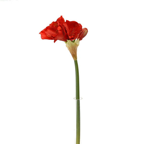 Set 4 Amaryllis Kunstblumen Höhe 77 cm Rot online