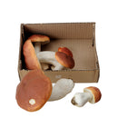 Porcini Artificiali assortiti 6 Pezzi Altezza 22 cm -1