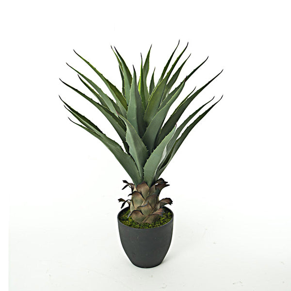 online Künstliche Aloe mit 27 Blättern, Höhe 73 cm, grün